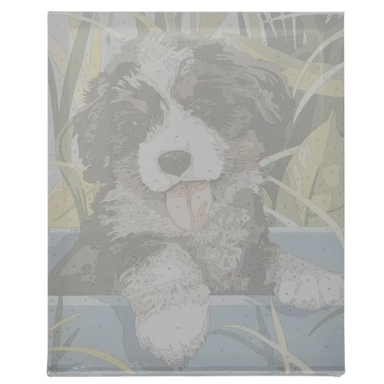 Maaleo, malowanie po numerach, pies, 40-30 cm