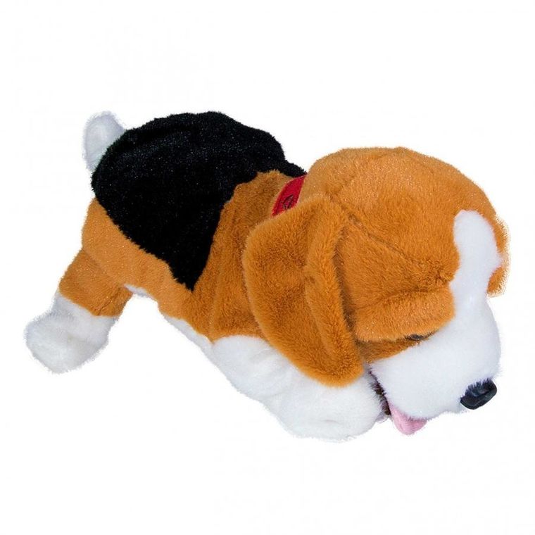 Madej, Beagle Figo, pies reagujący na komendy, maskotka interaktywna