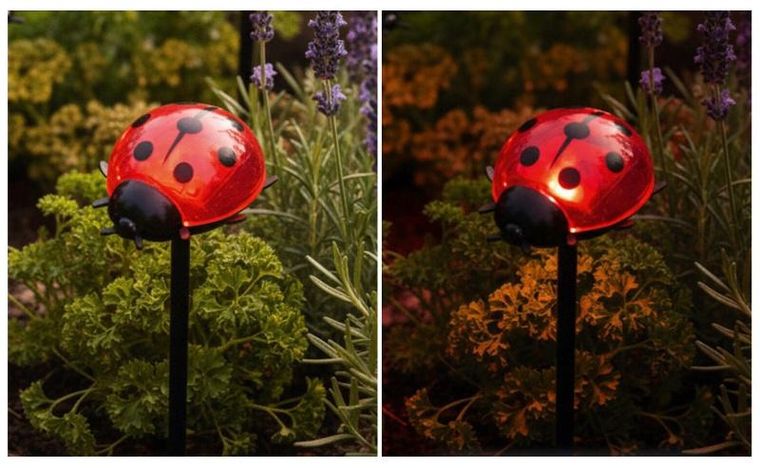 Maximex, lampki ogrodowe solarne, biedronki LED, 14 cm, 4 szt.