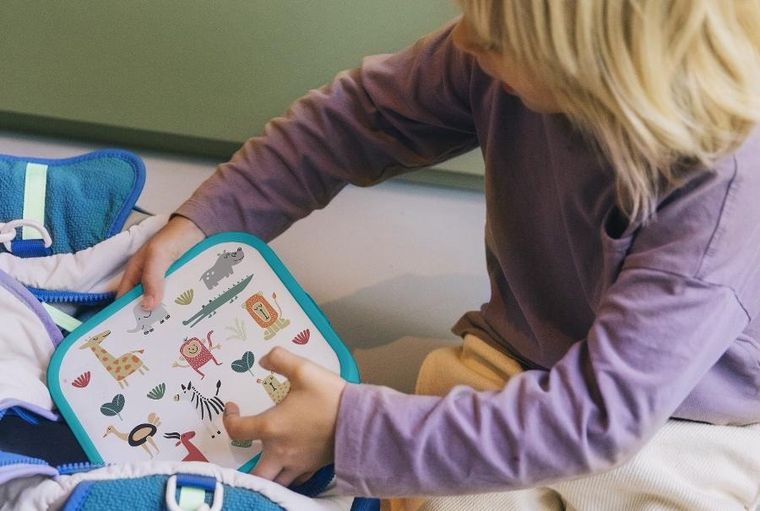 Mepal, Campus, Bento, Kraina Lodu, lunchbox, large