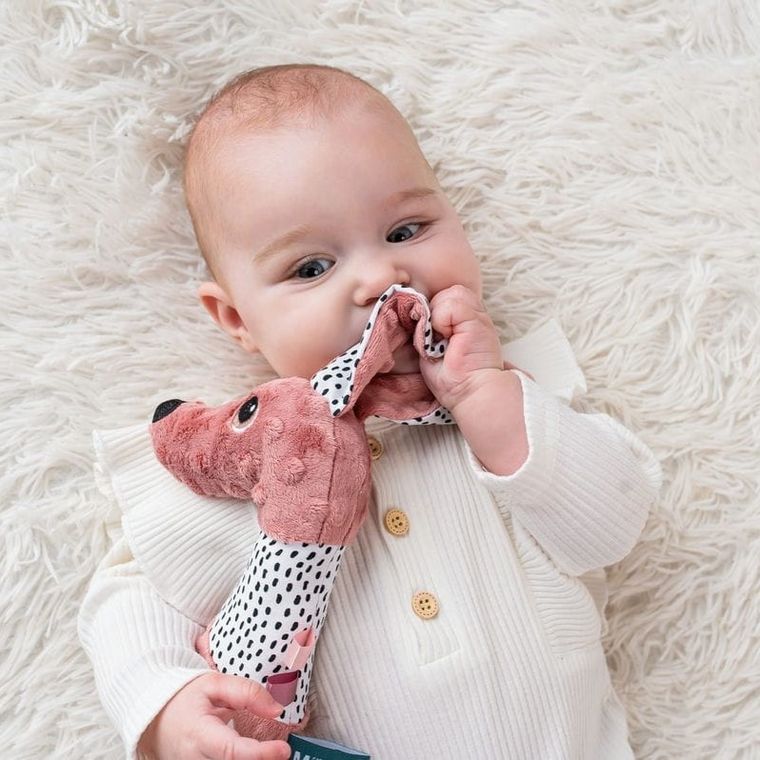 Mom's Care, Jamiś, pastelowy, piszczek z gryzakiem, zabawka sensoryczna, różowy
