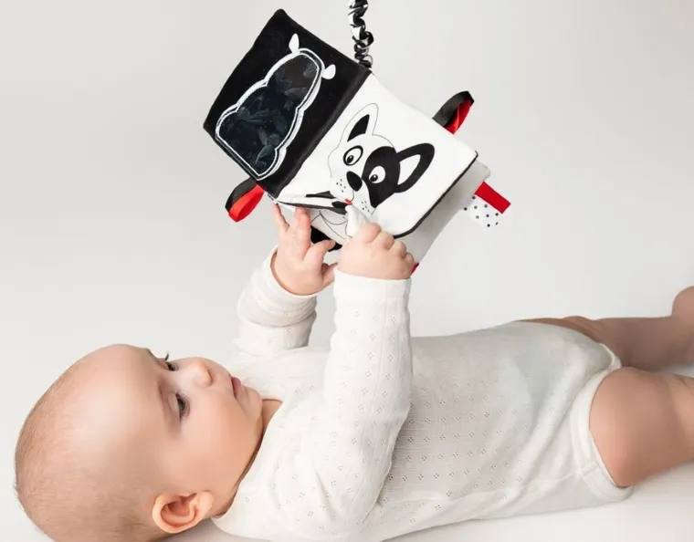 Mom's Care, Kto to? Co to? książeczka edukacyjna