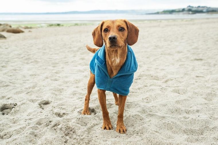 Mountain Paws, kamizelka z polaru dla psa, rozmiar M