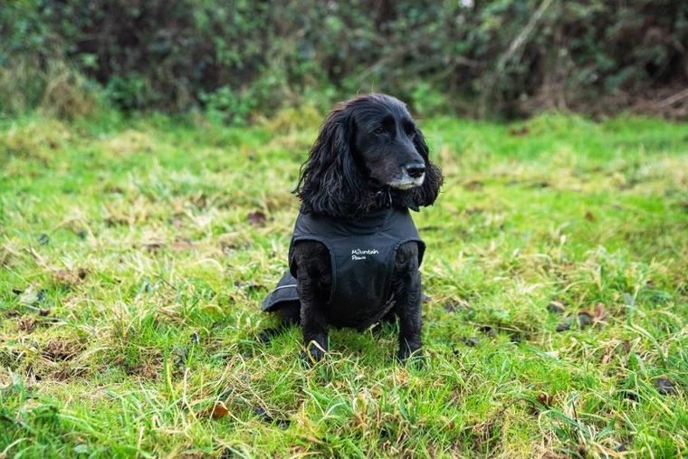 Mountain Paws, ocipelany płaszcz przeciwdeszczowy dla psa, rozmiar M