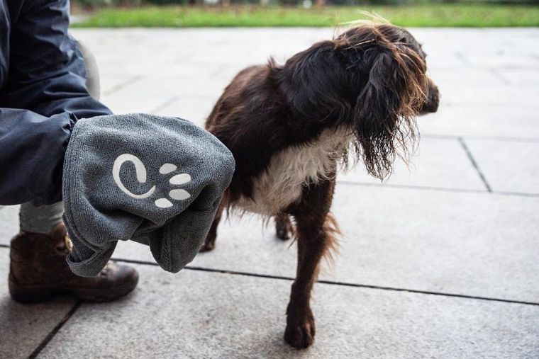 Mountain Paws, ręcznik do wycierania psa