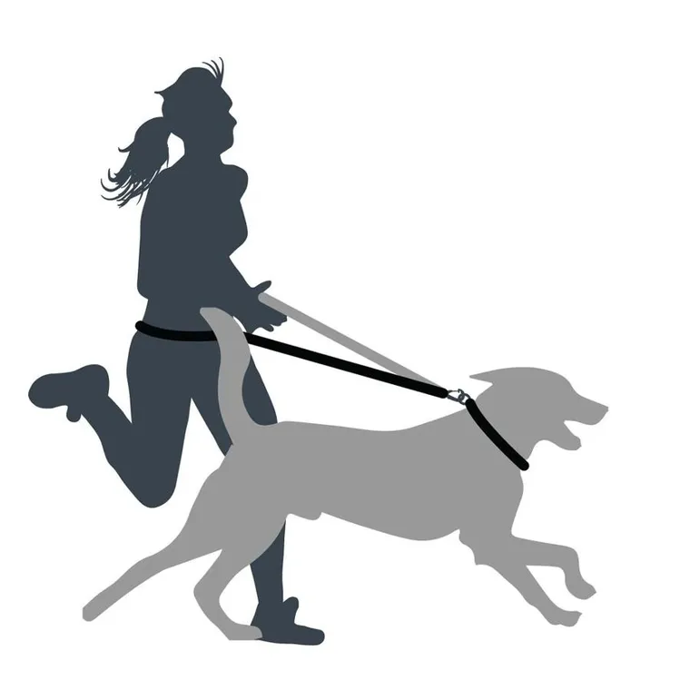 Mountain Paws, smycz do biegania z amortyzatorem, 281 cm