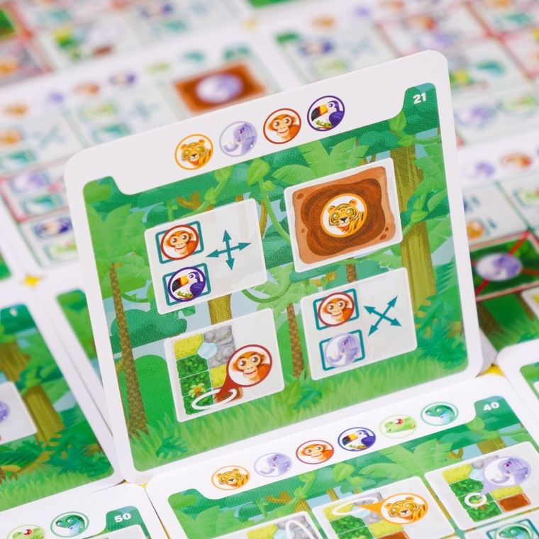 Muduko, Dżungla, 60 zagadek, gra logiczna