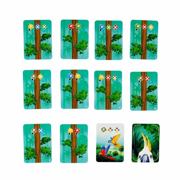 Muduko, Złap kadr! Gra o najlepsze zdjęcie, gra towarzyska