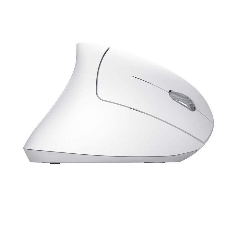 Mysz bezprzewodowa Trust Verto Wireless Ergo Mouse Wht
