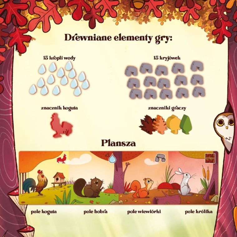 Nasza Księgarnia, Orzeszki ze ścieżki, gra familijna