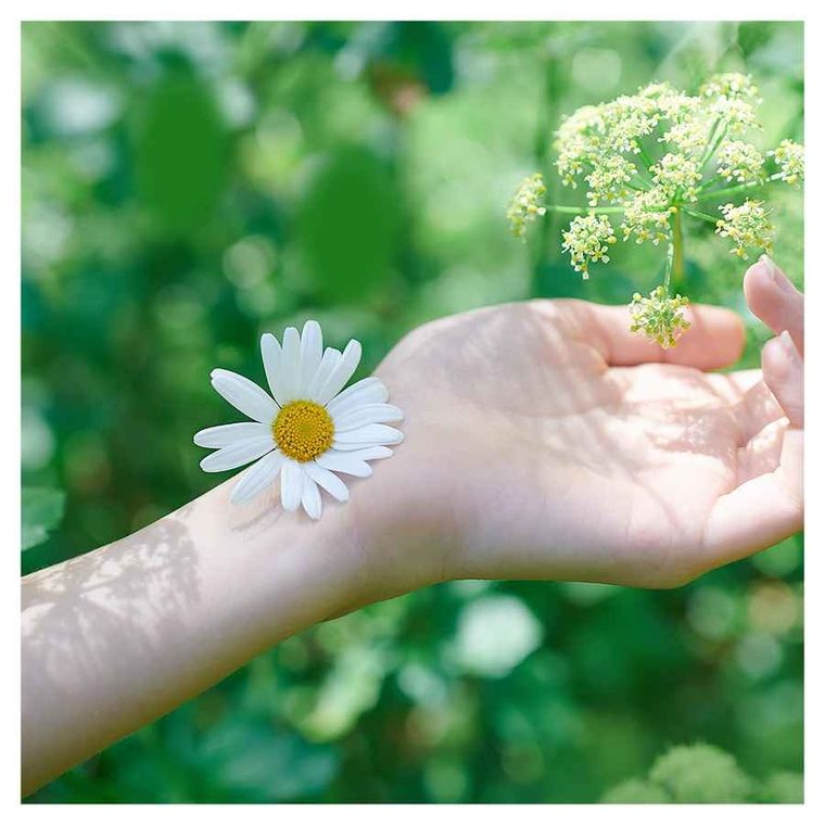 Naturella, Classic Maxi Camomile, podpaski, 16 szt.