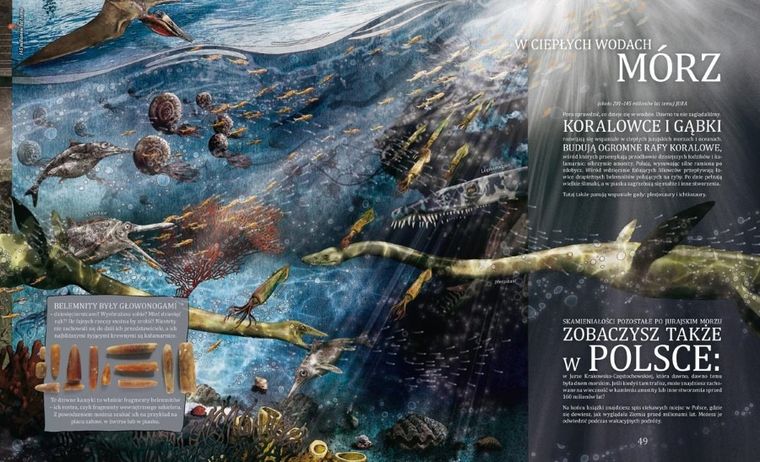 Od początku, czyli powstanie i rozwój życia na Ziemi