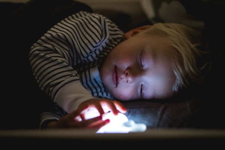 Olala, Króliczki, zestaw lampek nocnych LED