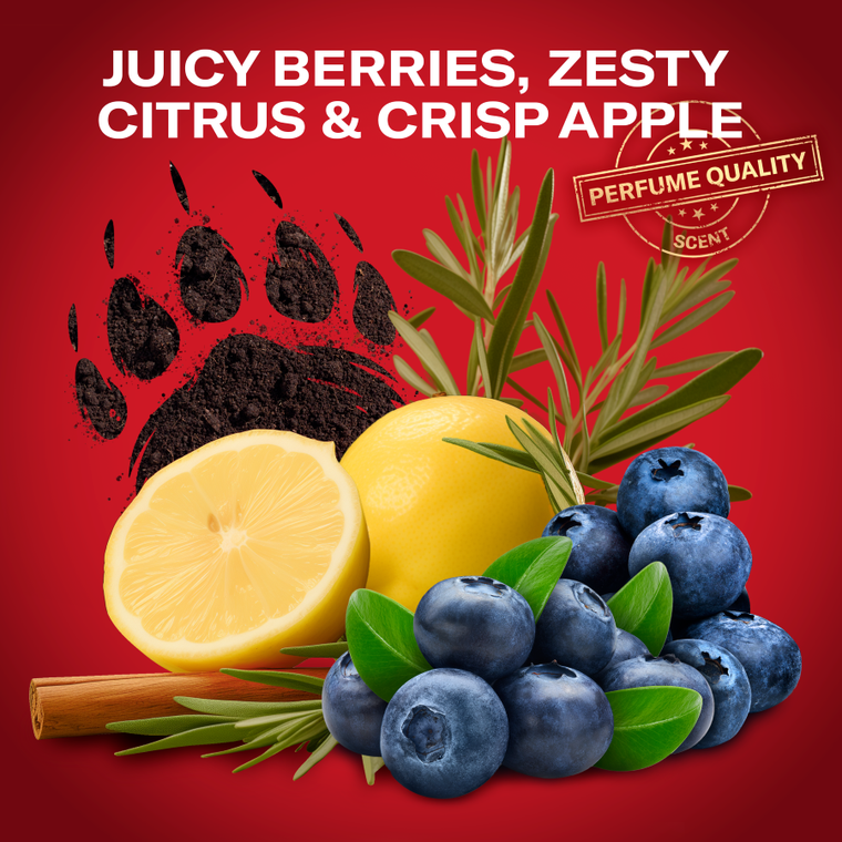 Old Spice, Bearglove, dezodorant w sprayu dla mężczyzn, 125 ml