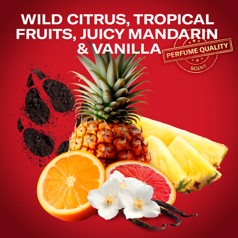 Old Spice, Wolfthorn, dezodorant w sprayu dla mężczyzn, 125 ml