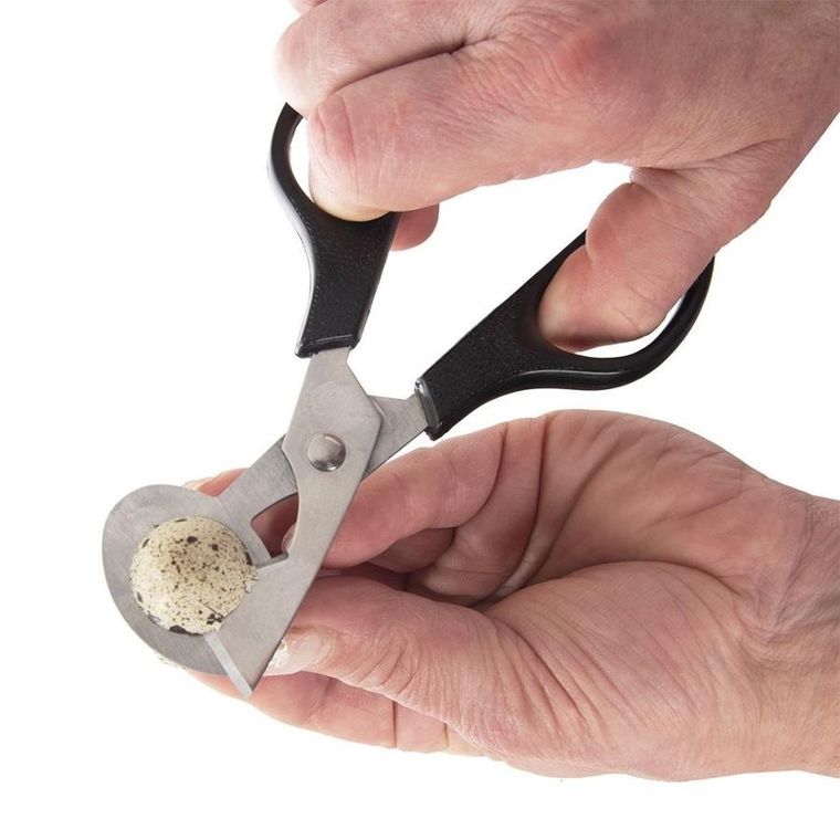 Orion, obcinacz do jajek, stalowy, 14.5 cm