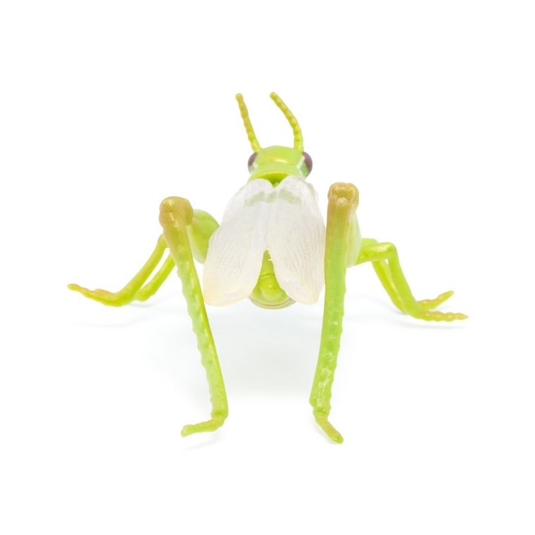 Papo, Konik polny, figurka