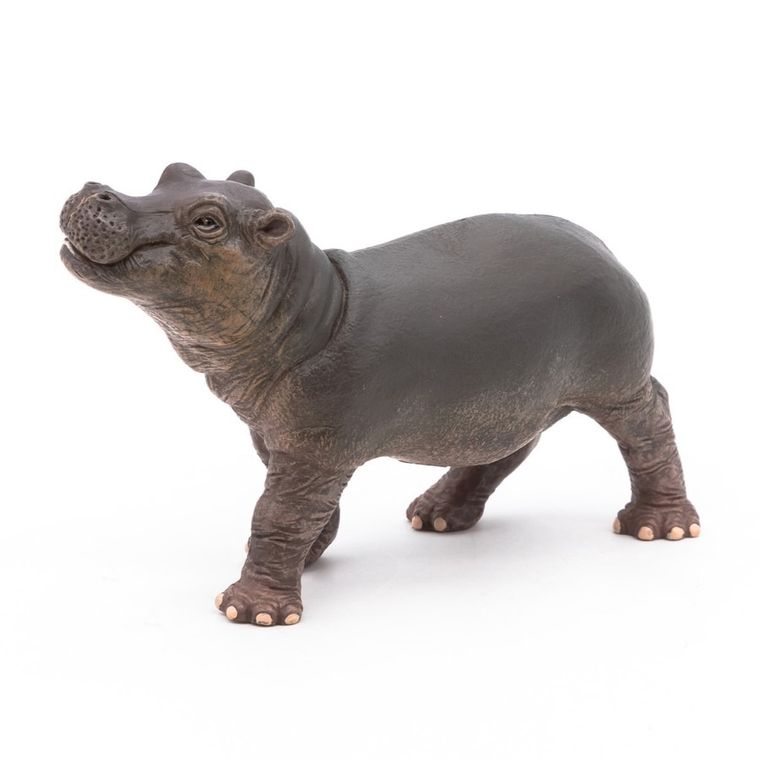 Papo, Młody hipopotam, figurka kolekcjonerska