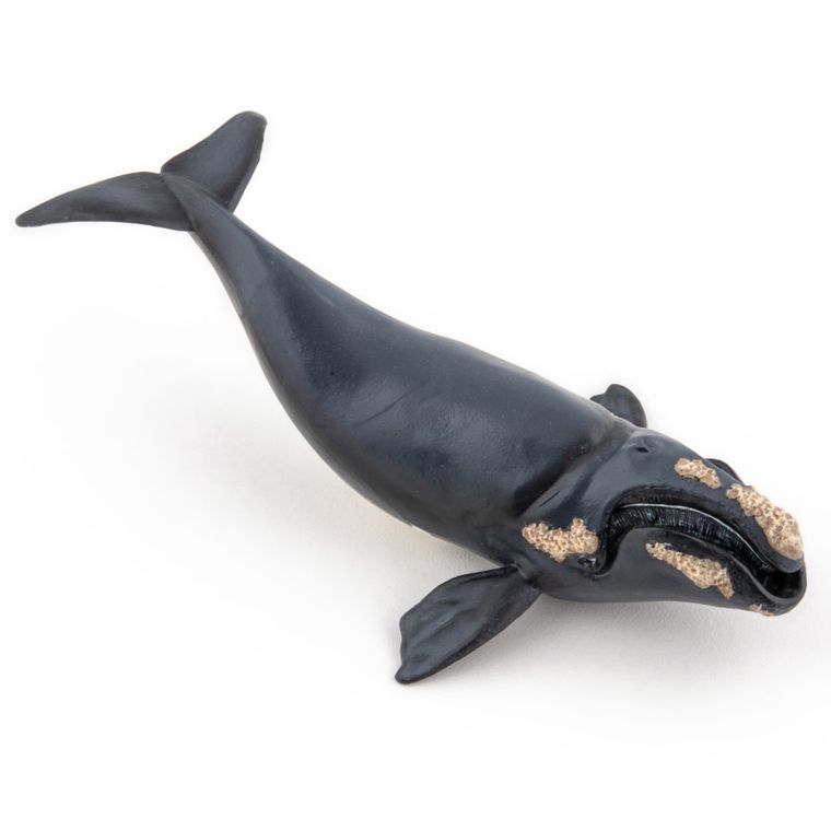 Papo, Waleń, figurka