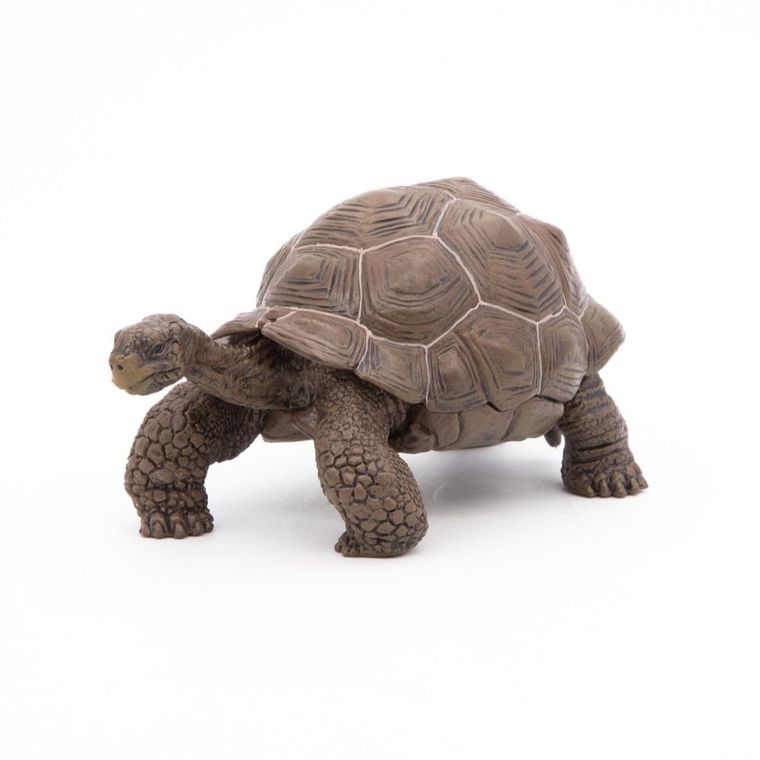 Papo, Żółw słoniowy, figurka kolekcjonerska