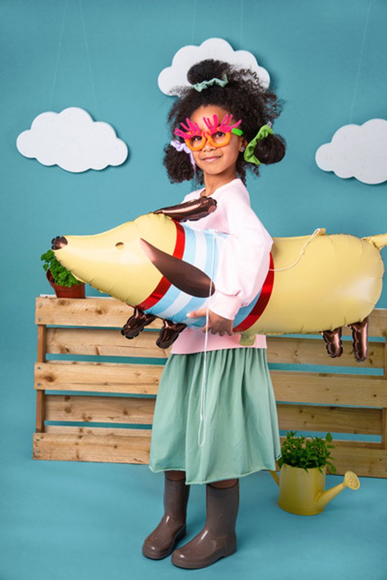 PartyDeco, balon foliowy Jamnik, 96-58 cm, mix, 1 szt.