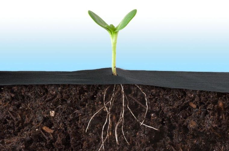 Plonos, agrowłóknina ogrodowa, 1,6100m + szpilki, 100 szt.