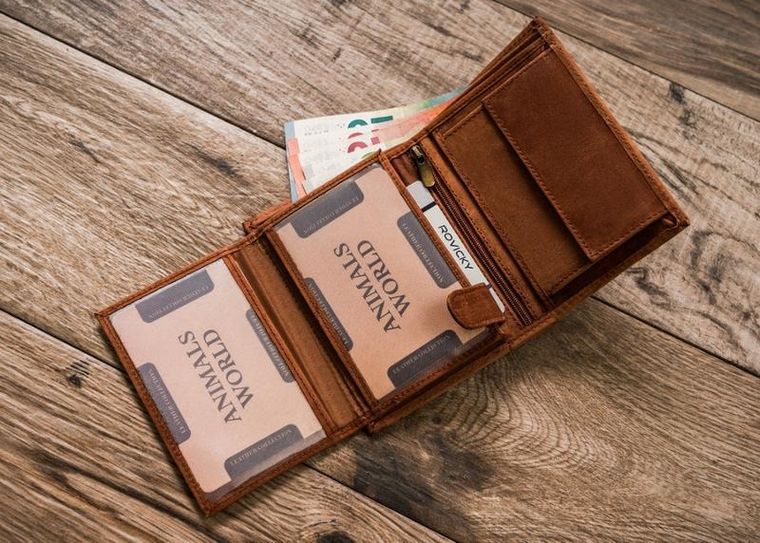 Portfel, brązowy, skórzany, Always Wild