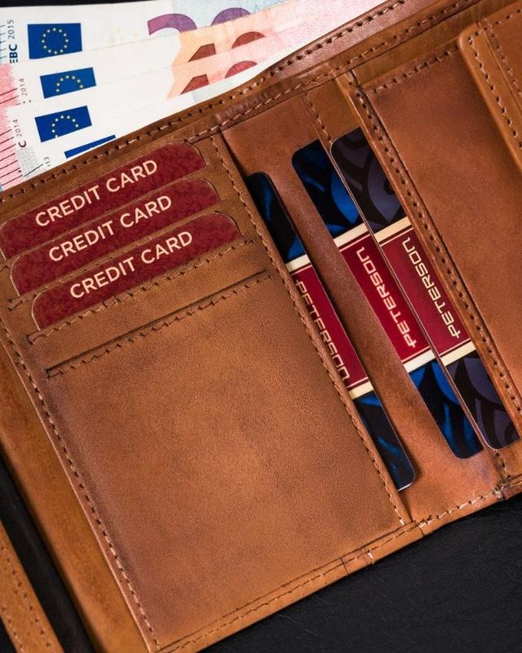 Portfel męski z cieniowanej skóry naturalnej, Peterson