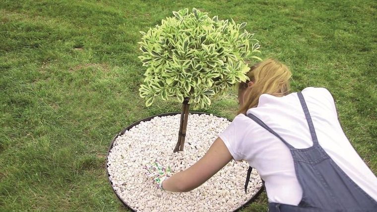 Prosperplast, Bordr Flex, obrzeże trawnikowe, czarne