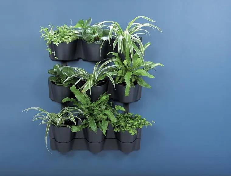 Prosperplast, ogród wertykalny, wiszący kwietnik, antracyt