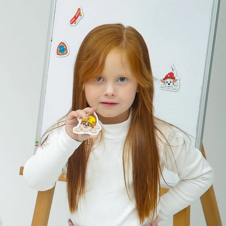 Psi Patrol, magnesy, 22 szt.