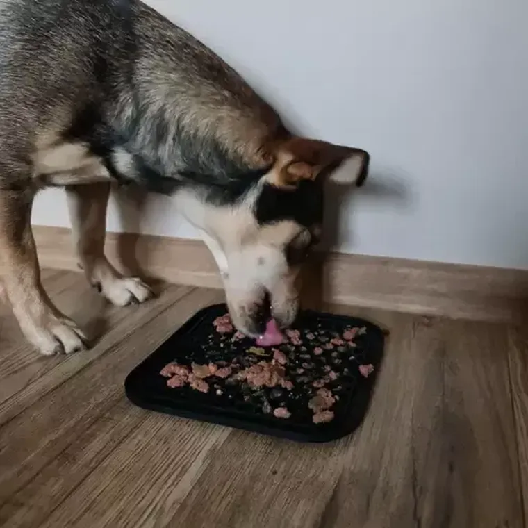 Purlov, mata antystresowa, taca dla psa