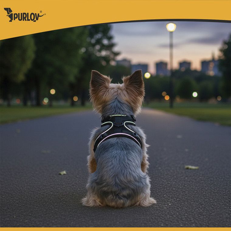 Purlov, szelki bezuciskowe dla zwierząt, rozmiar S