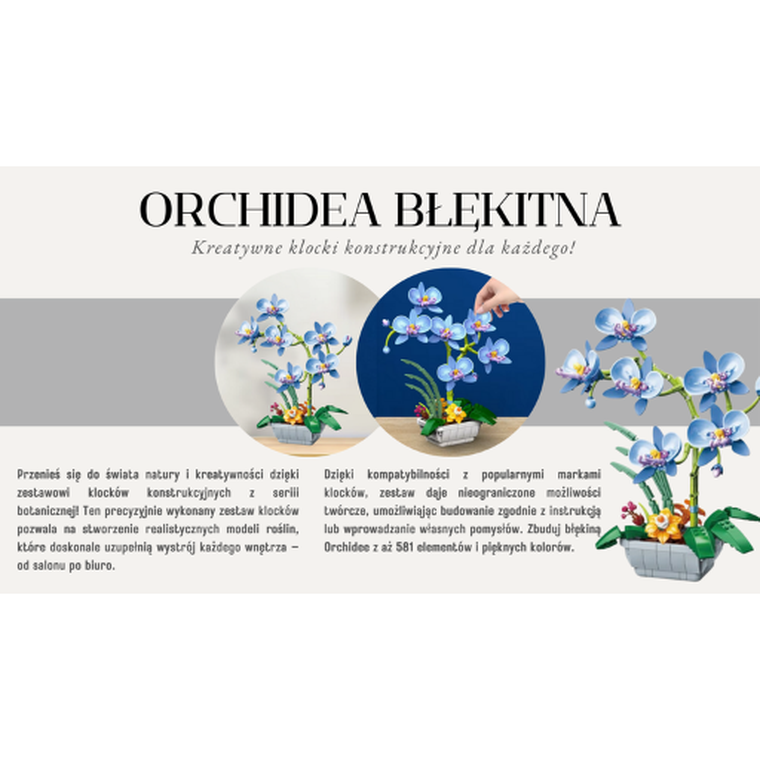 QBI, Orchidea błękitna, klocki konstrukcyjne, 581 elementów