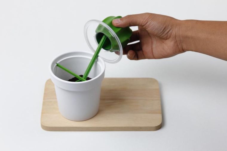 Qualy, Cacnister, pojemnik z łyżeczką na kawę, kaktus, biało-zielony