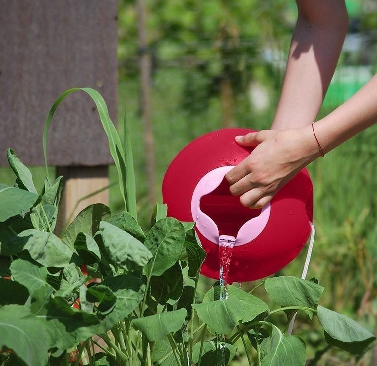 Quut, Ballo, wiaderko wielofunkcyjne, Cherry red + sweet pink