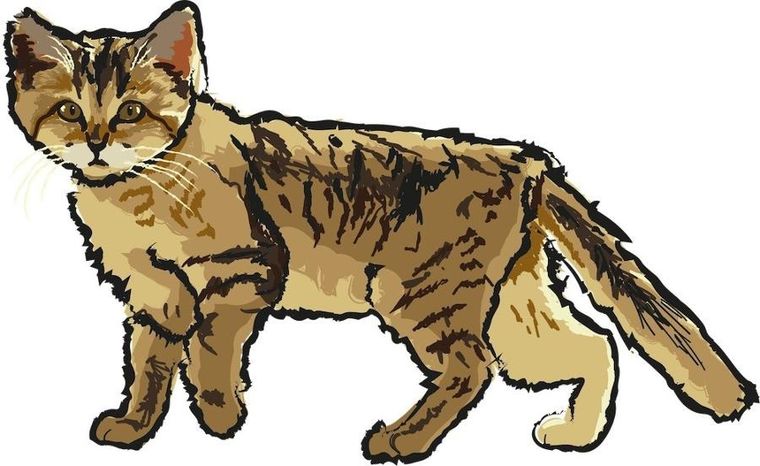 Rebel, Brainnbox: Świat, gra edukacyjna