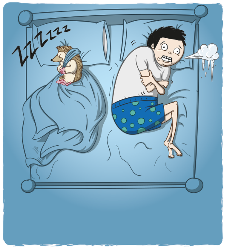 Rebel, Eksplodujące Kotki: Szczekające Kotki, dodatek do gry