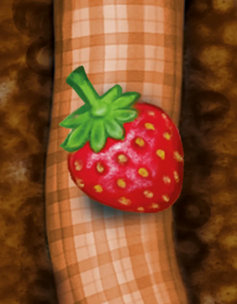 Rebel, Gnaj, robaczku! gra familijna