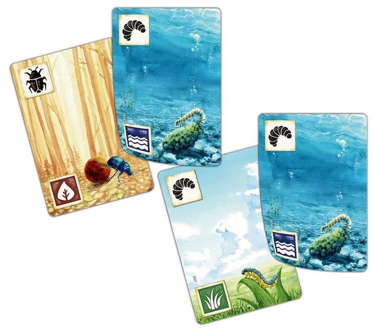 Rebel, Łąka: Z biegiem strumienia, gra familijna