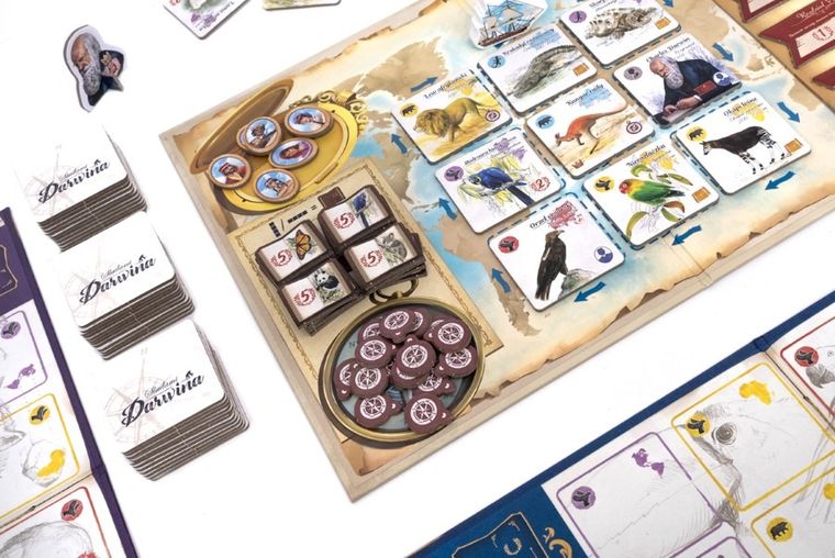 Rebel, Śladami Darwina, gra familijna