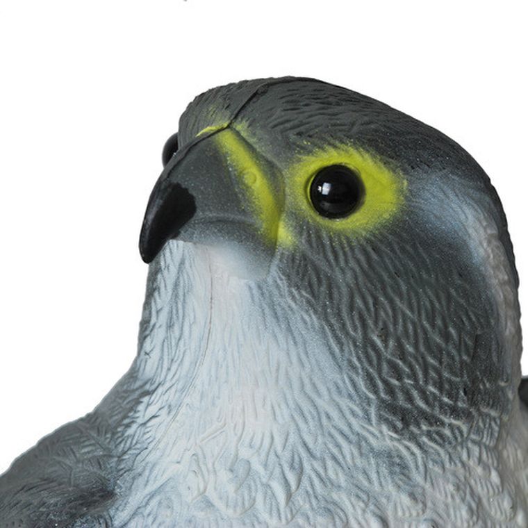 Repest, odstraszacz ptaków, sokół