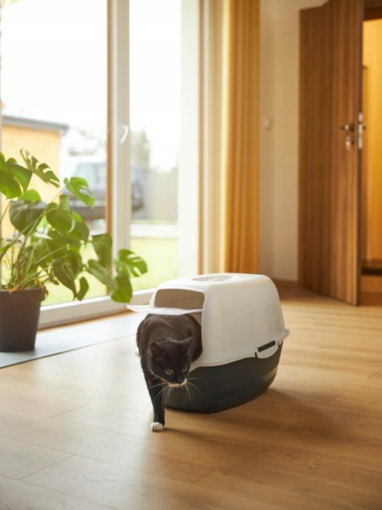 Rotho, Eco Bailey, kuweta dla kota, czarna