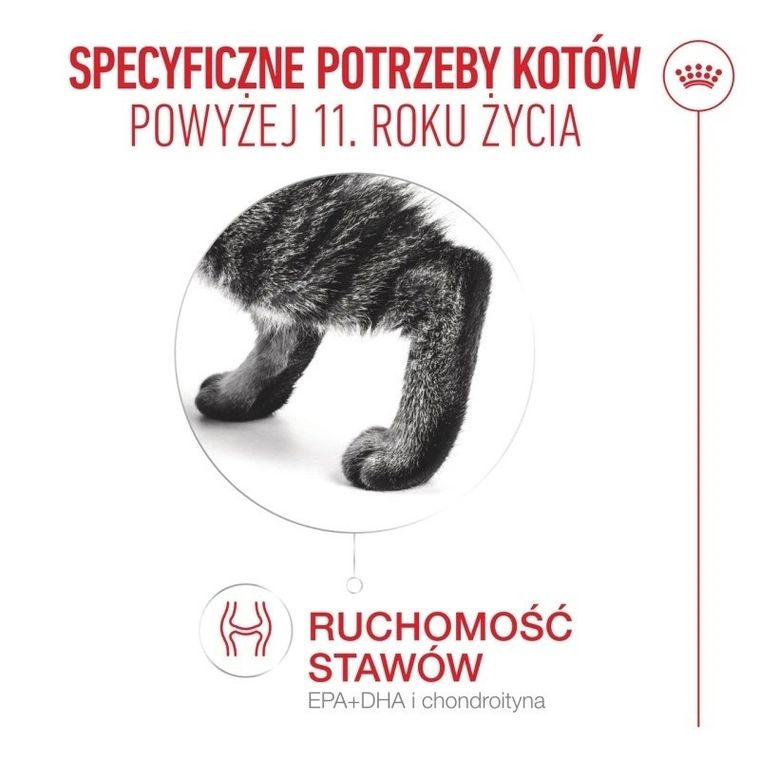 Royal Canin, FHN Cat Ageing 11+, karma sucha dla kotów, 2 kg