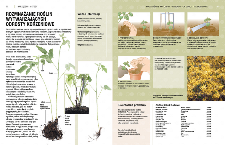 Rozmnażanie roślin. Przewodnik krok po kroku