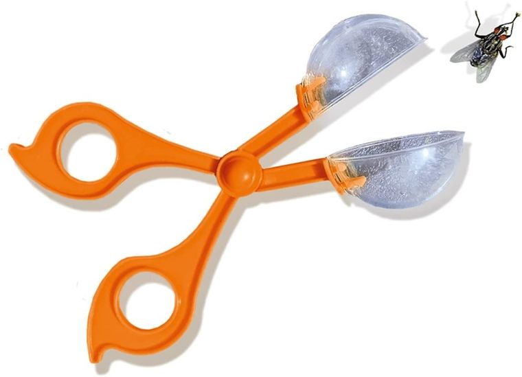 SES Creative, Odkrywca owadów, zestaw kreatywny