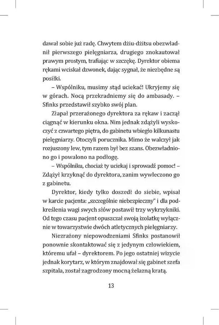 Sfinks w (o)błędzie. Koty