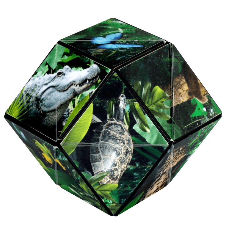 Shashibo, kostka magnetyczna, łamigłówka, Jungle