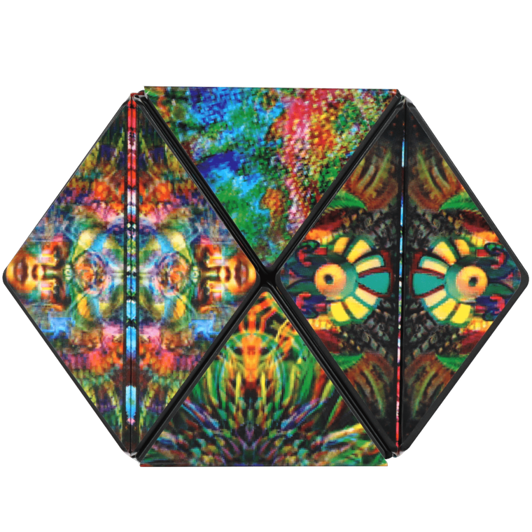 Shashibo, kostka magnetyczna, łamigłówka, The Chameleon