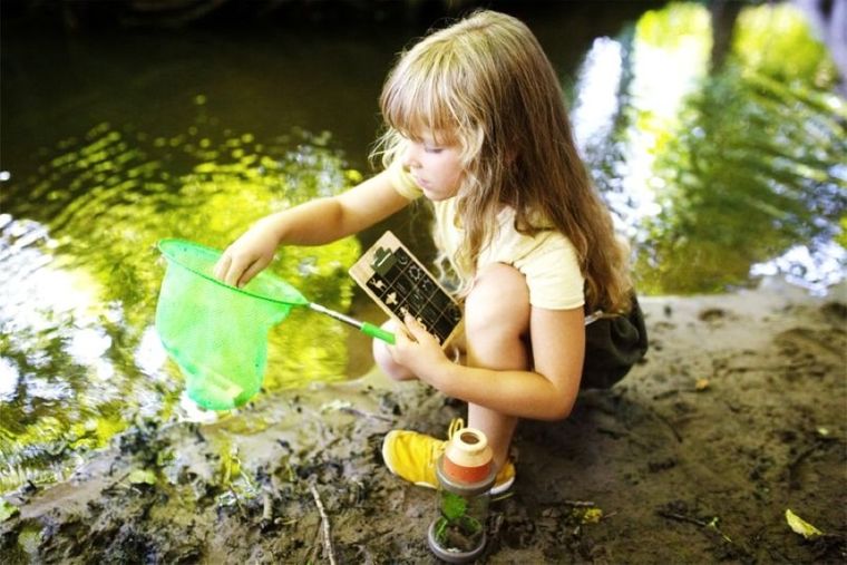 Small Foot, komplet 4 akcesoriów do obserwacji przyrody, Discover